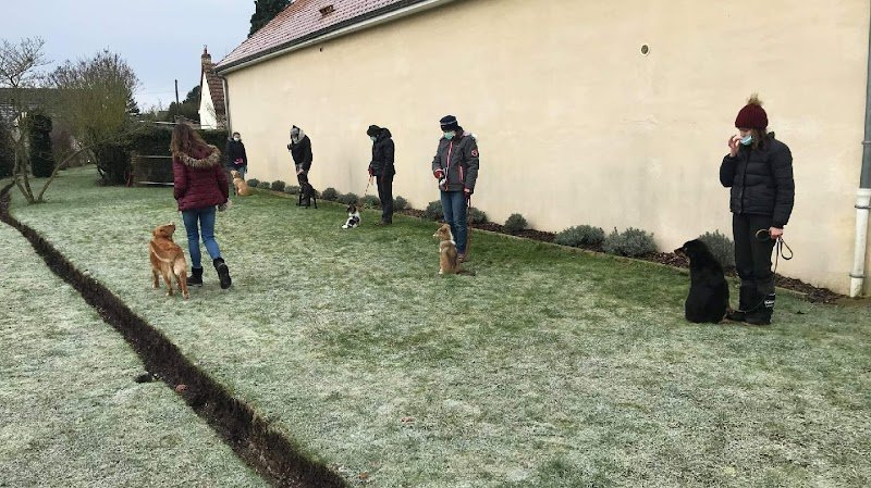 Les jardins canins de Julie - photo 1