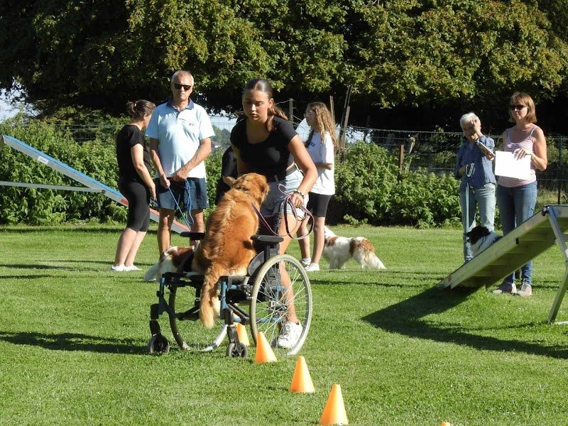 Les jardins canins de Julie - photo 2
