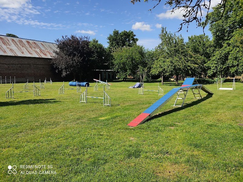 Les jardins canins de Julie - photo 3