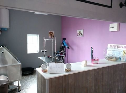 AU BIEN ETRE CANIN - photo 1