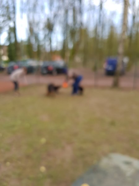 Caning Club Cambrai - photo 2