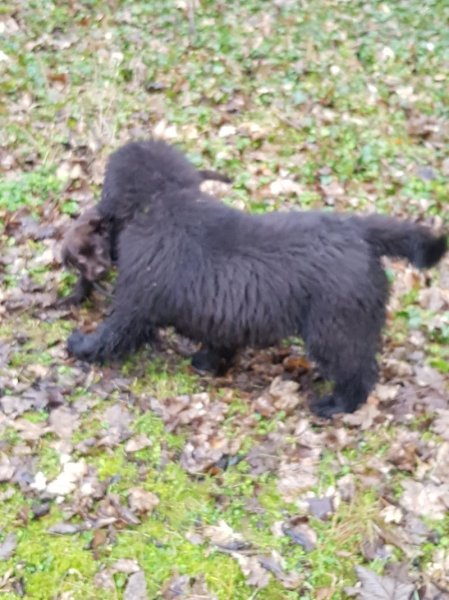 Caning Club Cambrai - photo 3