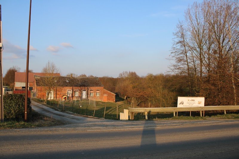 pension canine My Love - photo 1