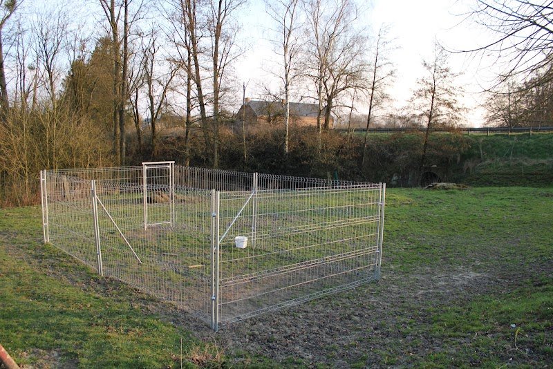 pension canine My Love - photo 2