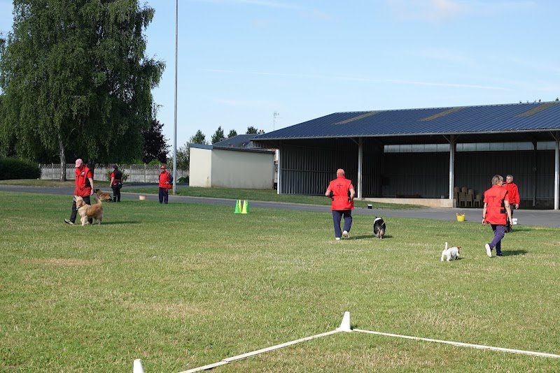 Club cynophile caudresien - photo 2