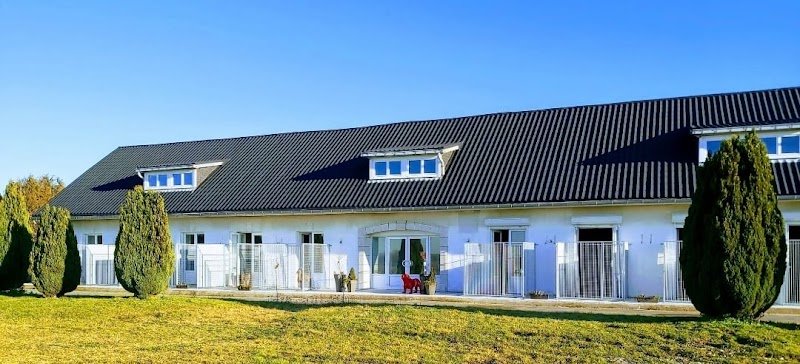 Pension Canine Florent Plomion - photo 1