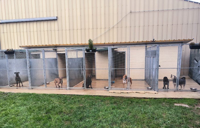 Pension canine des Hauts d'Autrêches - photo 2