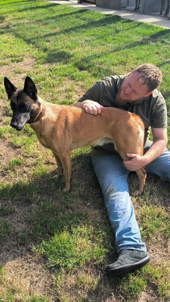 Pension canine des Hauts d'Autrêches - photo 3