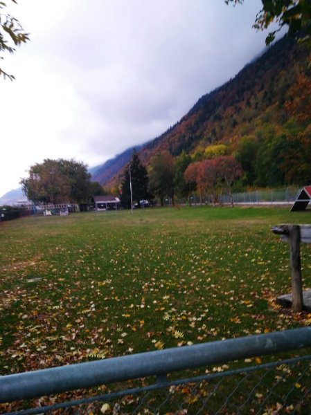 Club d'education canine - photo 1