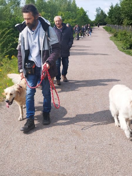 Centre éducation canine Aniche