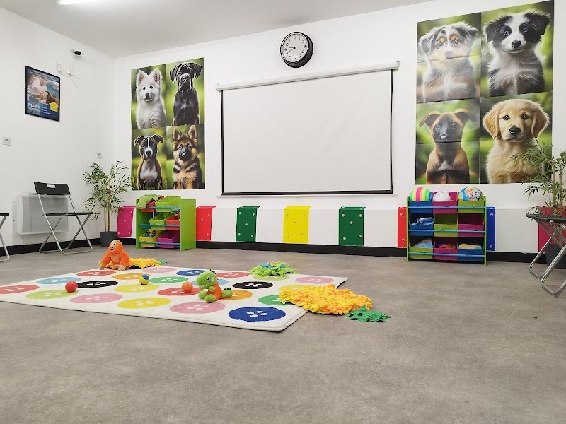 Centre éducation canine Aniche - photo 2