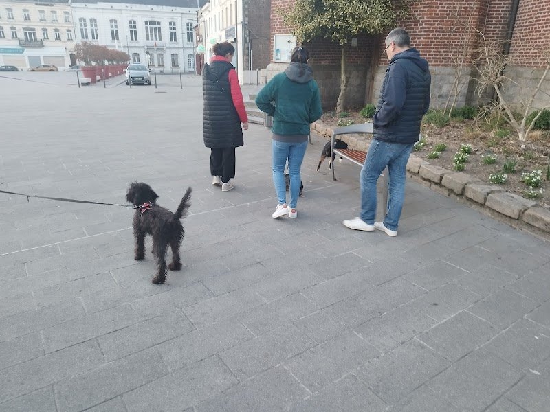 Centre éducation canine Aniche - photo 3