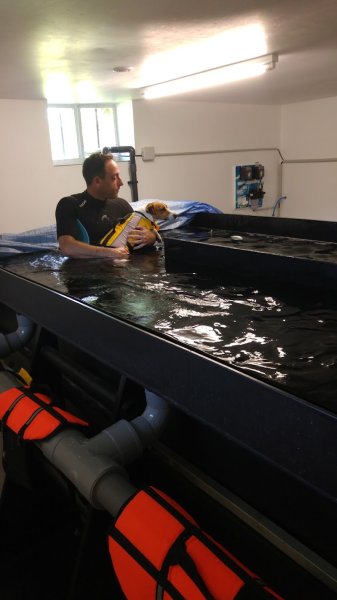 Spa Dog's Center - photo 1