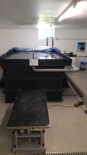 Spa Dog's Center - photo 2