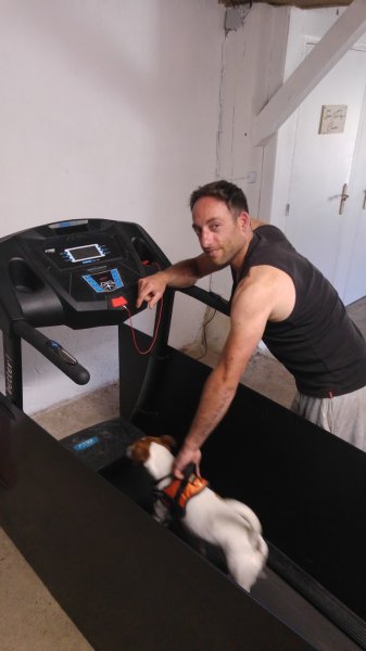 Spa Dog's Center - photo 3