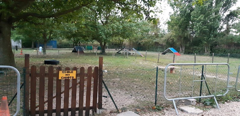 Club des amis du chien Vigneux sur seine