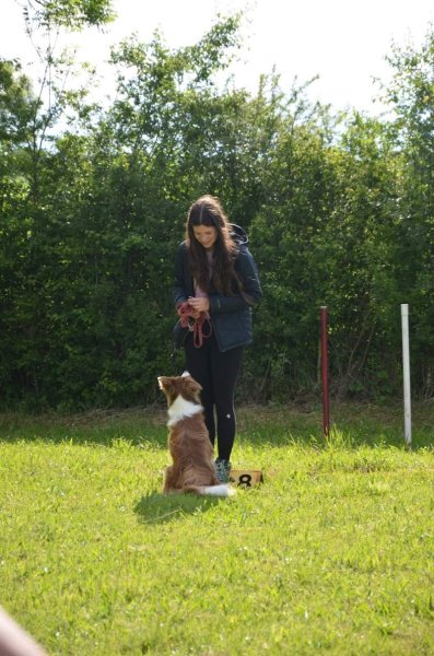 Lola éducatrice comportementaliste canine - photo 1