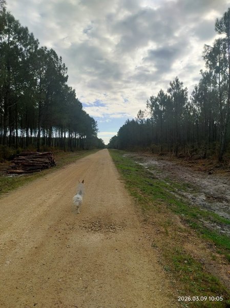 Lola éducatrice comportementaliste canine - photo 3