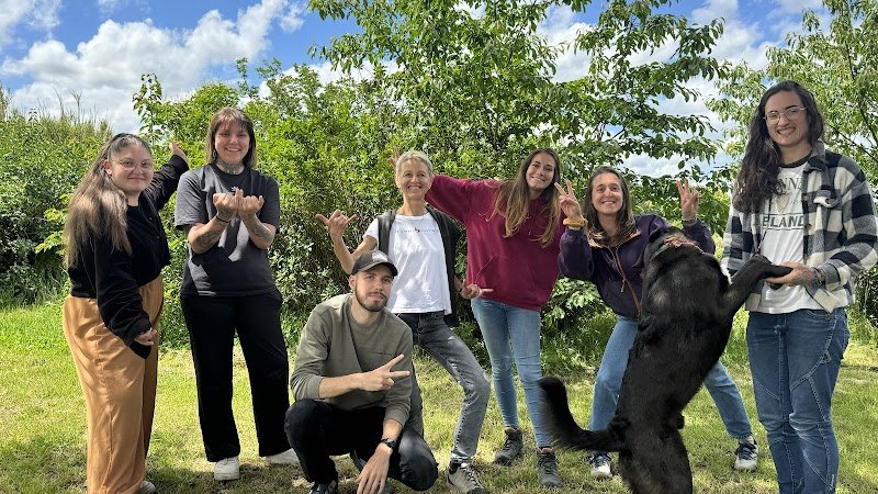 Nature de chien (Centre de formation) - photo 1