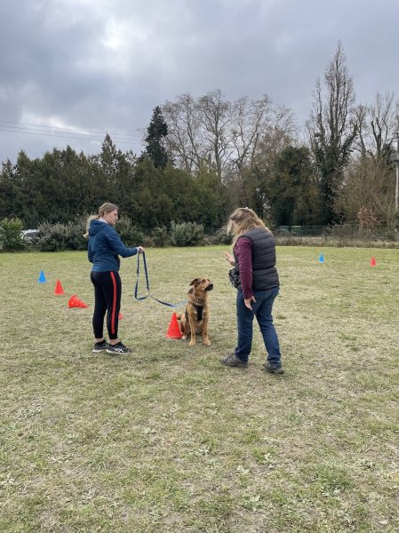 Nature de chien (Centre de formation) - photo 2