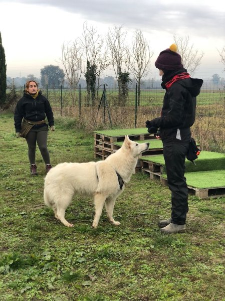 Nature de chien (Centre de formation) - photo 3