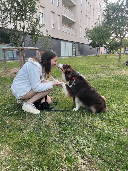 Uta'titude - Education canine et comportementaliste - photo 2