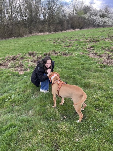 Uta'titude - Education canine et comportementaliste - photo 3