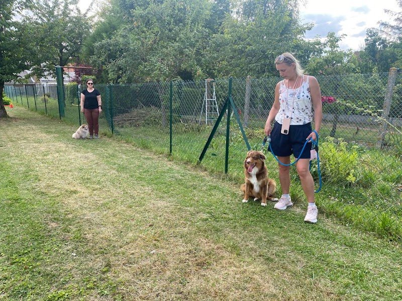 Rog'Company : Éducateur Comportementaliste Canin