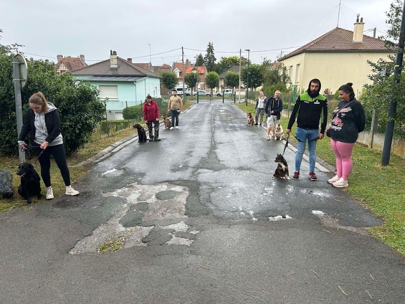 Rog'Company : Éducateur Comportementaliste Canin - photo 2