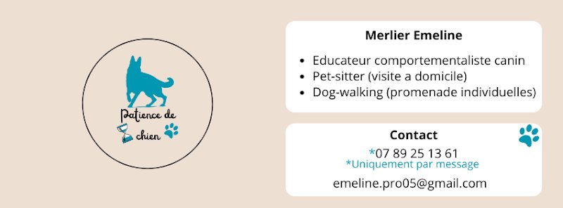 Emeline Merlier - Patience de chien