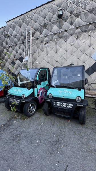 RCCDF Chiens Forestois - photo 1