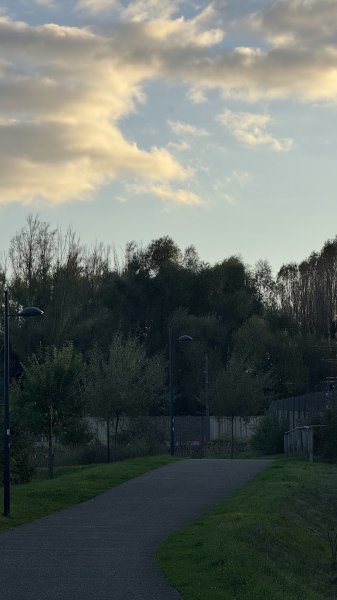 RCCDF Chiens Forestois - photo 3