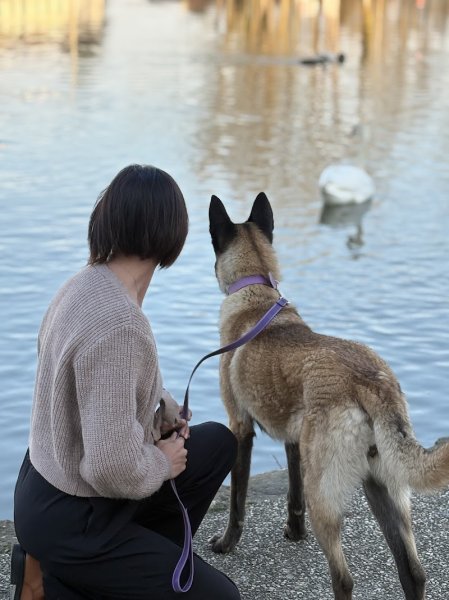 Stéphanie Educ'canin