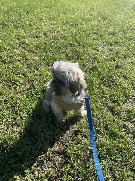 Stéphanie Educ'canin - photo 3