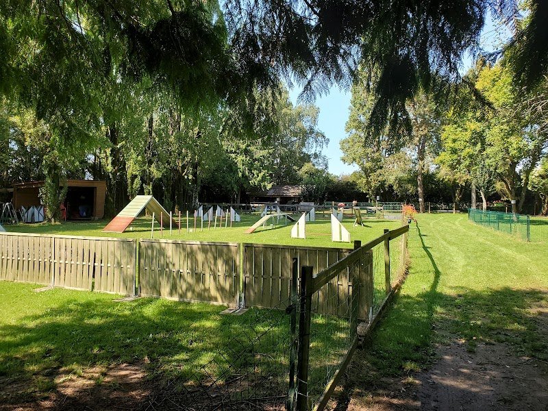 SCCO, Sporting Club Canin de l’Oise - photo 1