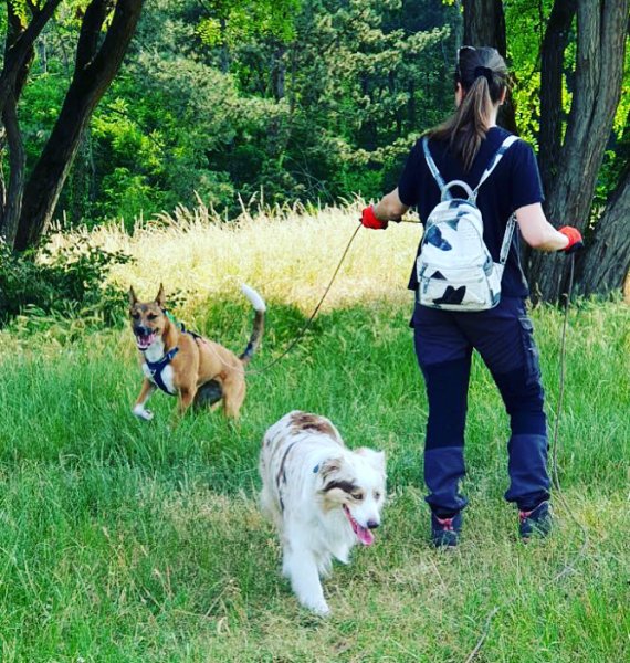 Terre de Chien - photo 3