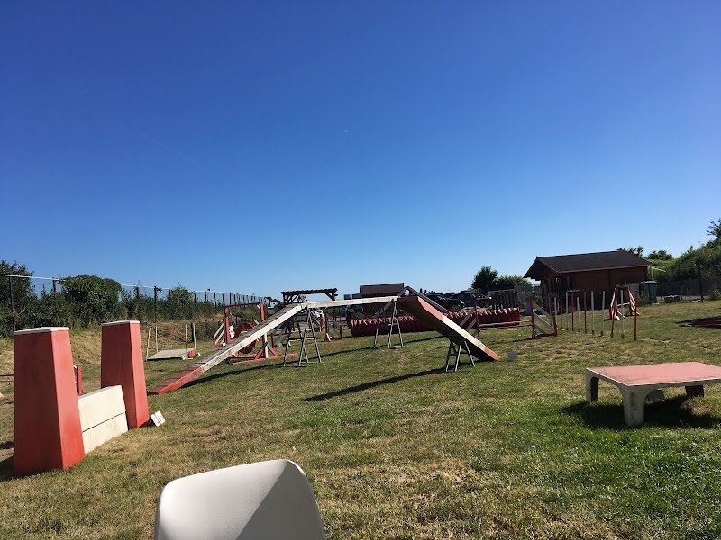 Fami's Dog - photo 1