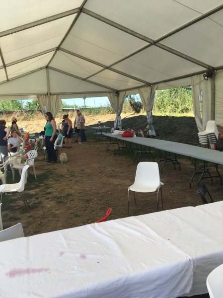 Fami's Dog - photo 2