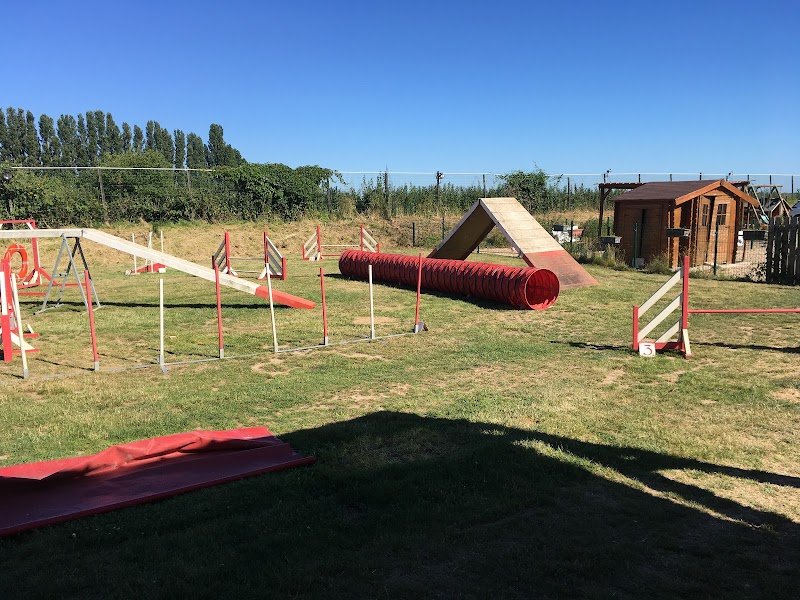 Fami's Dog - photo 3