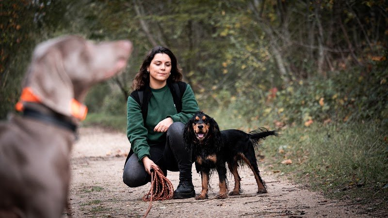 De Nature Canine Poissy Éducateur Comportementaliste Canin