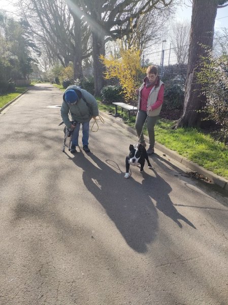 Antonio Rita Educateur et Comportementaliste canin - photo 3