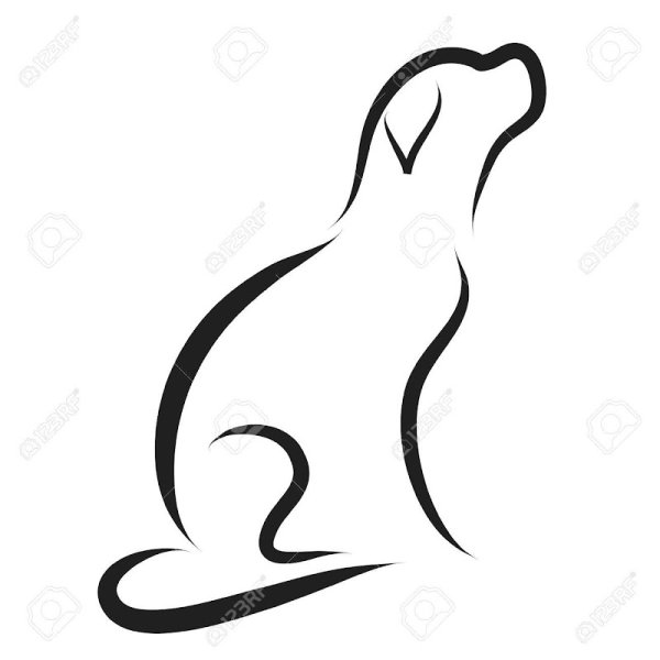 Centre National de Formation Canine Nikita - photo 3