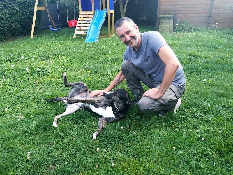 Vivr'Ensemble - Educateur Canin