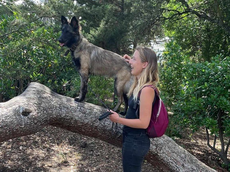 Educanyx - éducatrice comportementaliste canin - photo 3