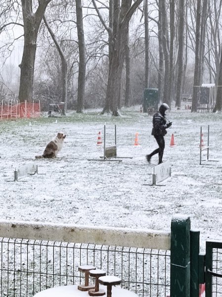 Amicale Canine Coudekerque-Branche - photo 3