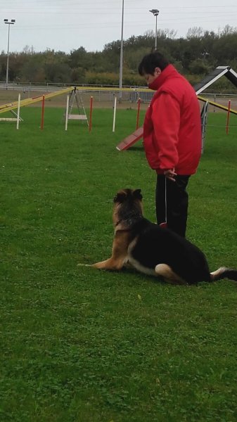 Amicale Canine Grande-Synthe