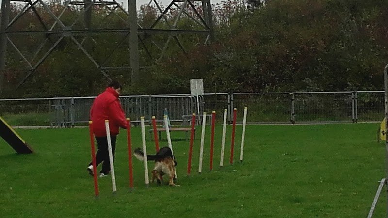 Amicale Canine Grande-Synthe - photo 2