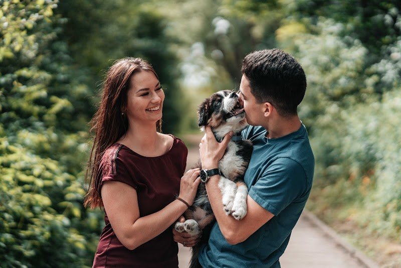 Les Aimer c'est les Garder / School of Kyda [Pension, Éducateur canin, Taxi animalier, Visites à domicile] - photo 1
