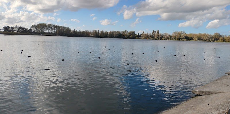 Agility club Armbouts-cappel - photo 1