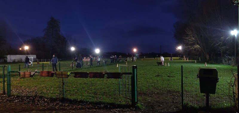 Agility club Armbouts-cappel - photo 2